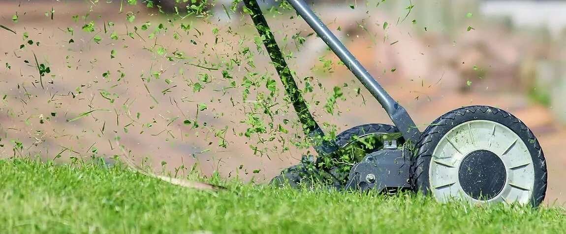 A push mower cutting up grass