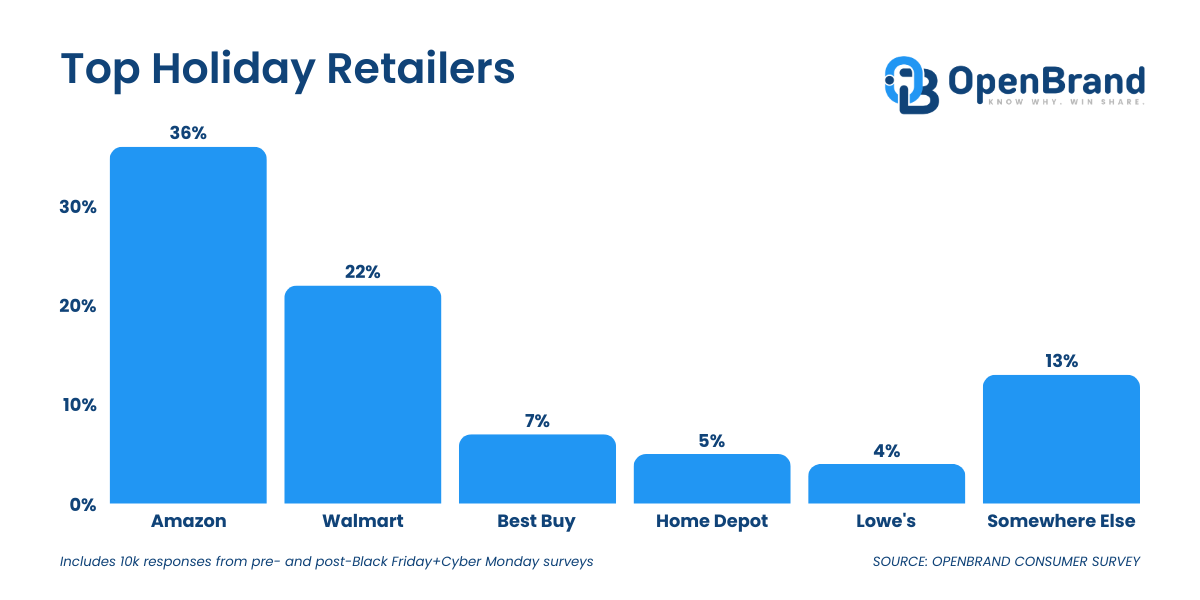 Top 2024 Holiday Retailers Black Friday OpenBrand Data