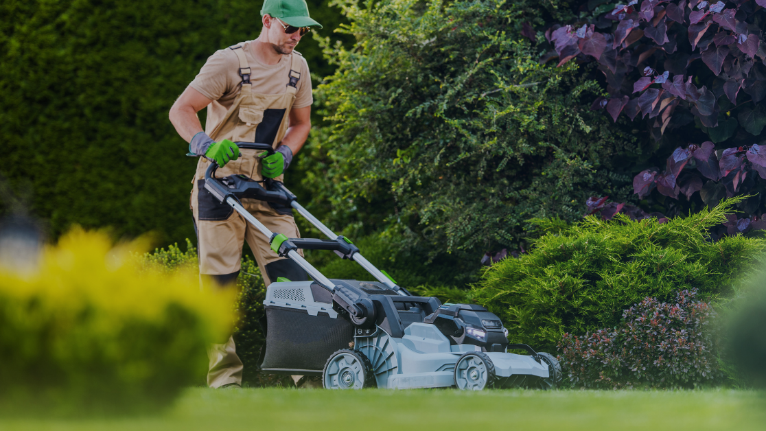 walk behind mower market share