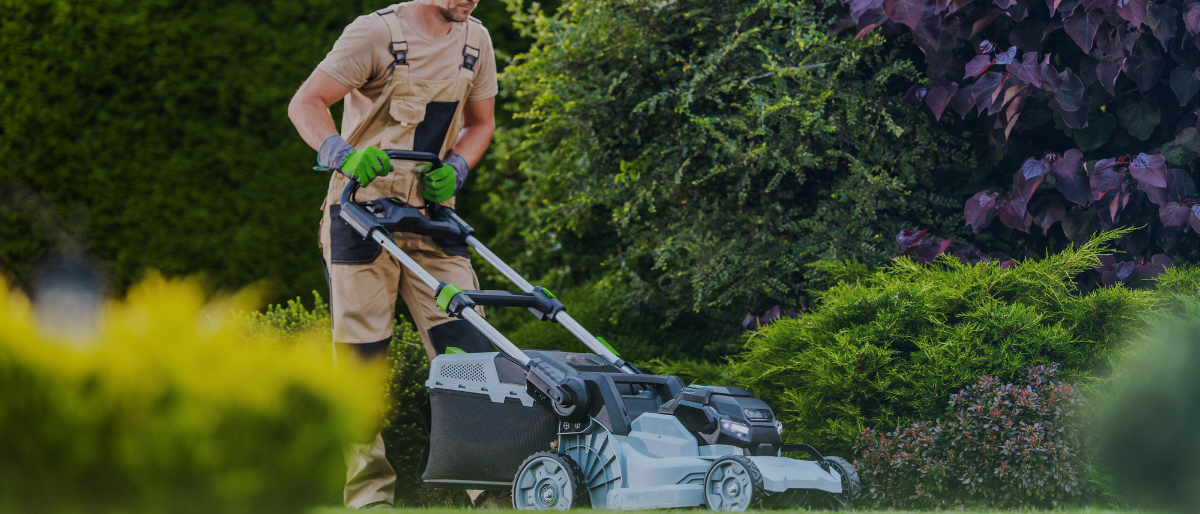 walk behind mower market share