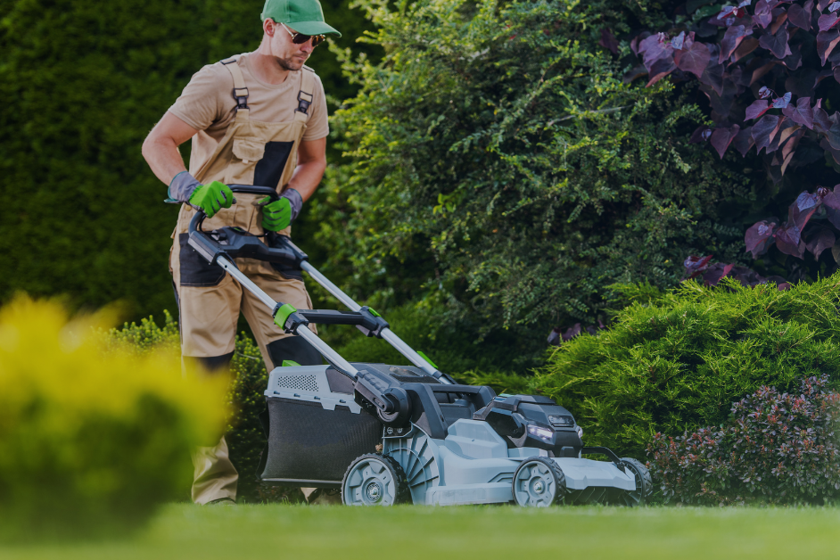walk behind mower market share
