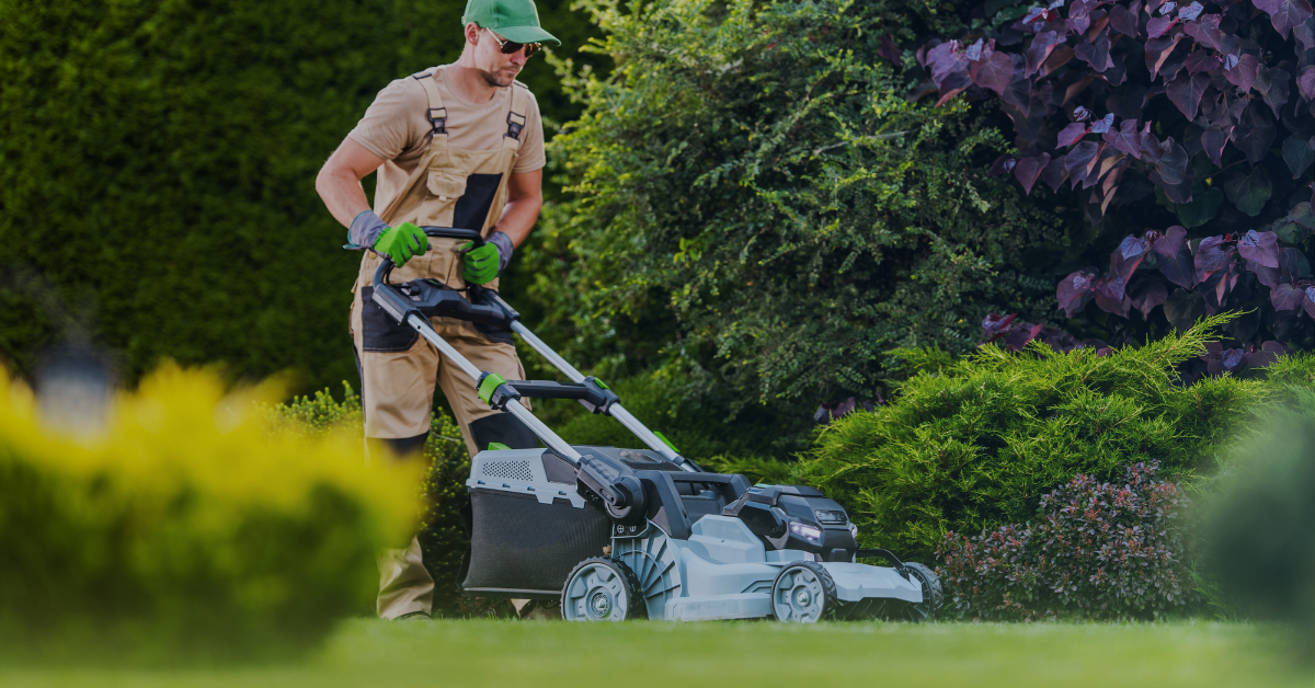 walk behind mower market share