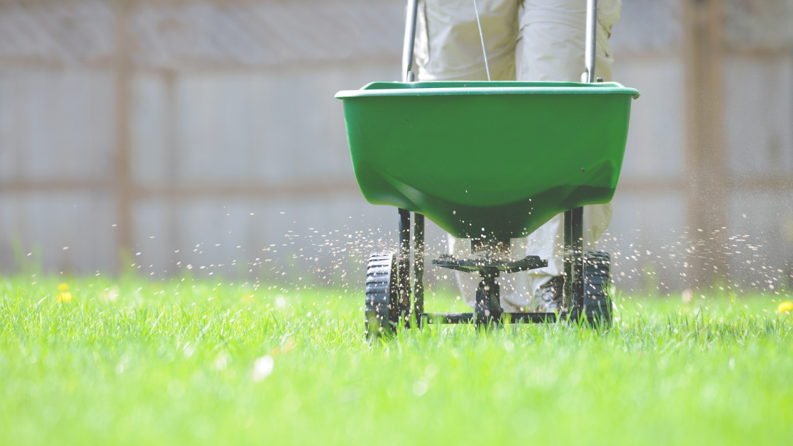 lawn care market data hero image